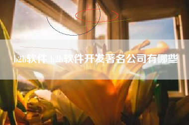 b2b软件 b2b软件开发著名公司有哪些