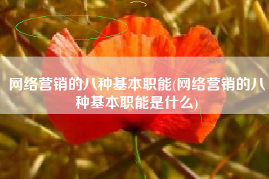 网络营销的八种基本职能(网络营销的八种基本职能是什么)