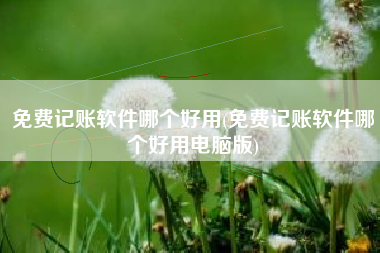 免费记账软件哪个好用(免费记账软件哪个好用电脑版)
