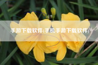 手游下载软件(手机手游下载软件)