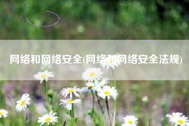 网络和网络安全(网络和网络安全法规)