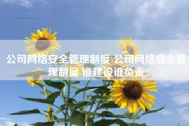 公司网络安全管理制度 公司网络安全管理制度 谁建设谁负责