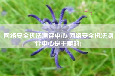 网络安全执法测评中心(网络安全执法测评中心是干嘛的)