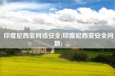 印度尼西亚网络安全(印度尼西亚安全问题)