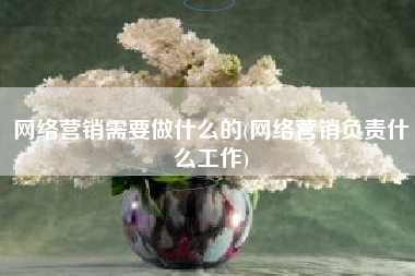 网络营销需要做什么的(网络营销负责什么工作)