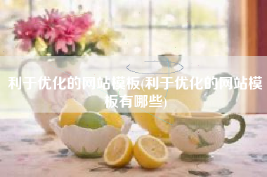 利于优化的网站模板(利于优化的网站模板有哪些)