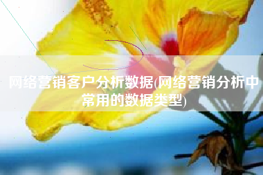网络营销客户分析数据(网络营销分析中常用的数据类型)