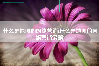 什么是地图的网络营销(什么是地图的网络营销策略)