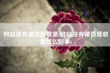 网站没有被百度收录(网站没有被百度收录怎么回事)