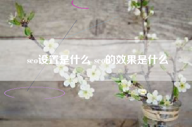 seo设置是什么 seo的效果是什么