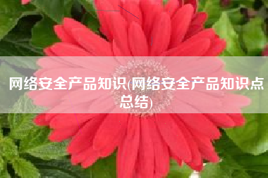网络安全产品知识(网络安全产品知识点总结)