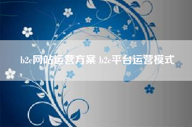 b2c网站运营方案 b2c平台运营模式