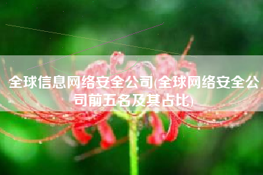 全球信息网络安全公司(全球网络安全公司前五名及其占比)
