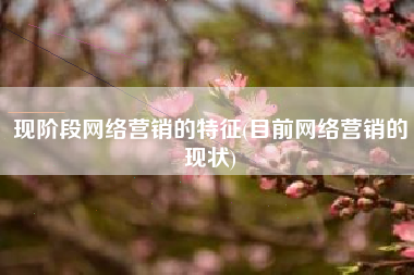 现阶段网络营销的特征(目前网络营销的现状)