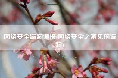 网络安全漏洞通报(网络安全之常见的漏洞)