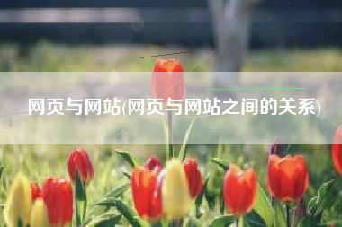 网页与网站(网页与网站之间的关系)