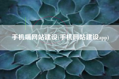 手机端网站建设(手机网站建设app)