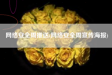 网络安全周推送(网络安全周宣传海报)