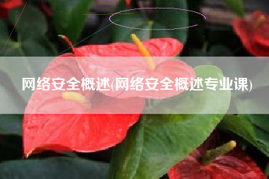 网络安全概述(网络安全概述专业课)