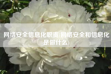 网络安全信息化职责(网络安全和信息化是做什么)