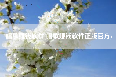 唱歌赚钱软件(唱歌赚钱软件正版官方)