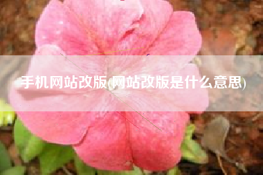 手机网站改版(网站改版是什么意思)