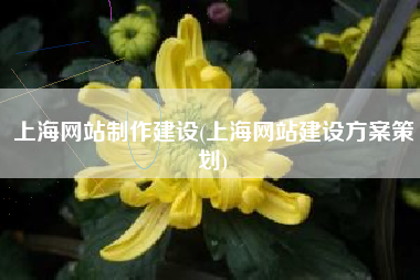 上海网站制作建设(上海网站建设方案策划)