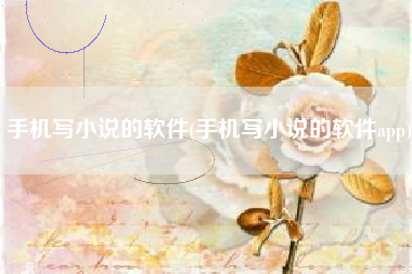 手机写小说的软件(手机写小说的软件app)