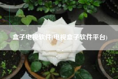 盒子电视软件(电视盒子软件平台)