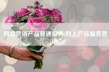网络营销产品普通服务(网上产品服务营销)