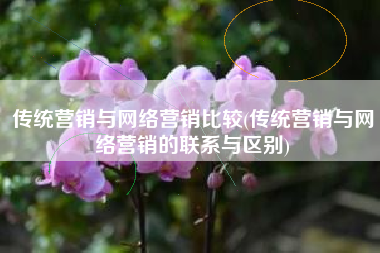 传统营销与网络营销比较(传统营销与网络营销的联系与区别)