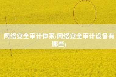 网络安全审计体系(网络安全审计设备有哪些)