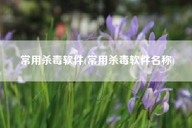 常用杀毒软件(常用杀毒软件名称)