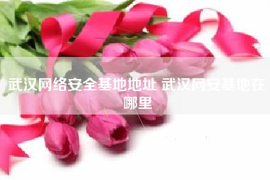 武汉网络安全基地地址 武汉网安基地在哪里