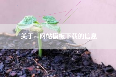 关于css网站模板下载的信息
