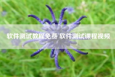 软件测试教程免费 软件测试课程视频