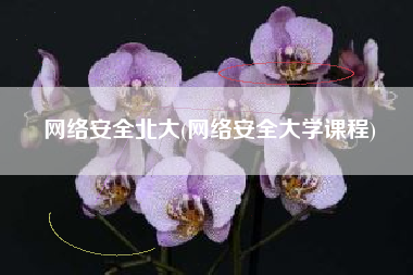 网络安全北大(网络安全大学课程)