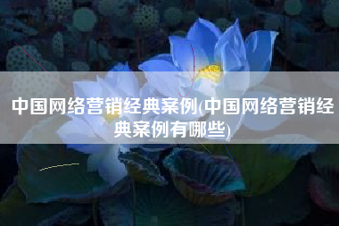 中国网络营销经典案例(中国网络营销经典案例有哪些)
