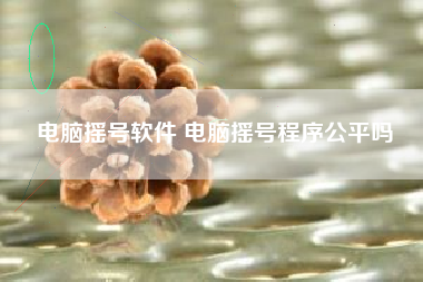 电脑摇号软件 电脑摇号程序公平吗