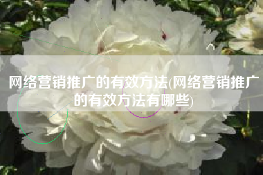 网络营销推广的有效方法(网络营销推广的有效方法有哪些)
