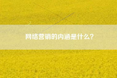 网络营销的内涵是什么？
