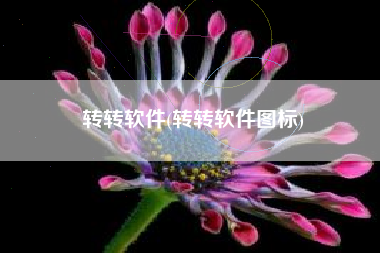 转转软件(转转软件图标)