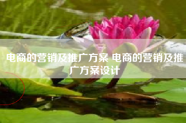 电商的营销及推广方案 电商的营销及推广方案设计