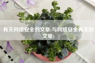 有关网络安全的文章(与网络安全有关的文章)