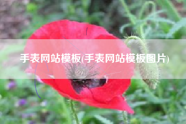 手表网站模板(手表网站模板图片)