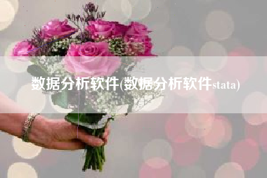 数据分析软件(数据分析软件stata)