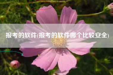 报考的软件(报考的软件哪个比较安全)