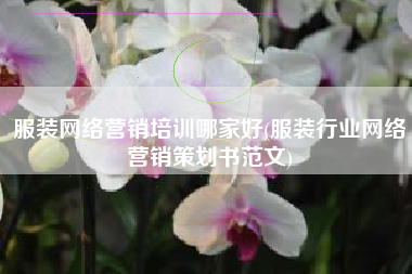 服装网络营销培训哪家好(服装行业网络营销策划书范文)