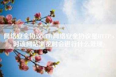 网络安全协议CTF(网络安全协议是HTTP s时该网站浏览时会进行什么处理)