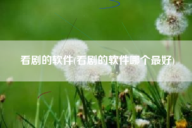 看剧的软件(看剧的软件哪个最好)